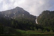Monte Valgussera, Pizzo Vescovo, Monte Brate, tre cime ad anello da Foppolo il 28 maggio 2016 - FOTOGALLERY